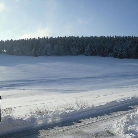 Apartment Sonnenschein Braunlage Bagian luar foto