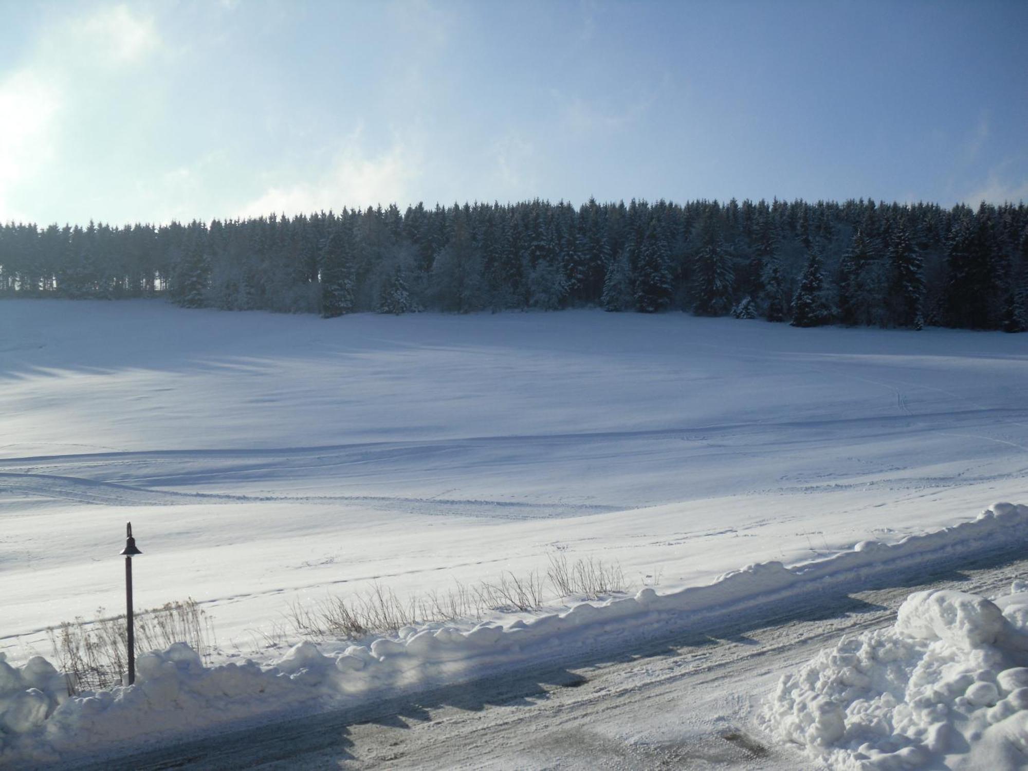 Apartment Sonnenschein Braunlage Bagian luar foto