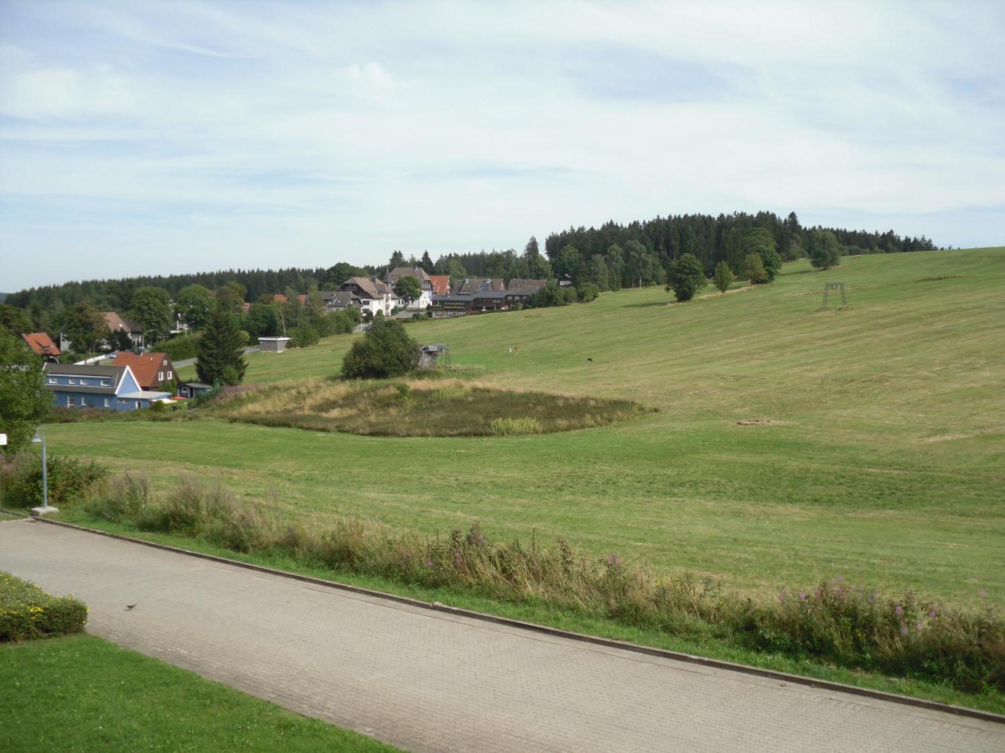 Apartment Sonnenschein Braunlage Bagian luar foto