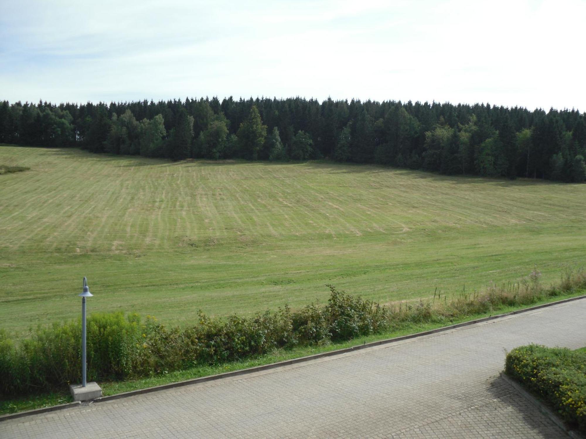 Apartment Sonnenschein Braunlage Bagian luar foto